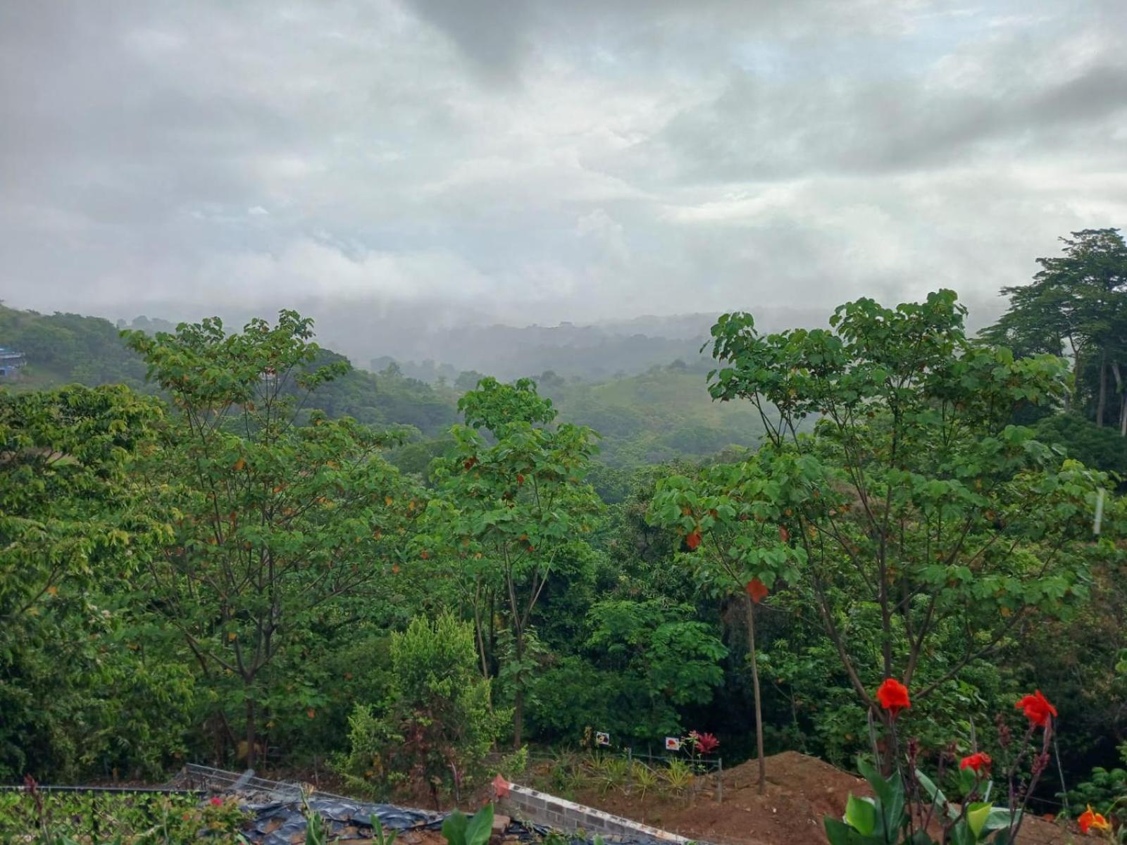 Mountain Park